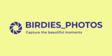 birdies-photos.com – Capture the beautiful moments